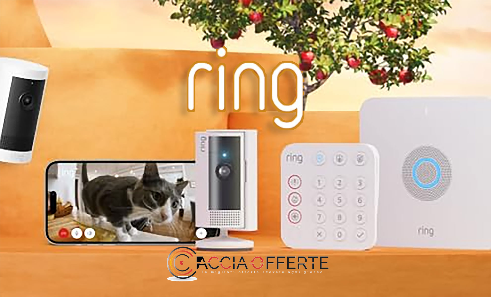 Ring Amazon in Offerta: Sconti fino al 61% su Intercom e Alarm